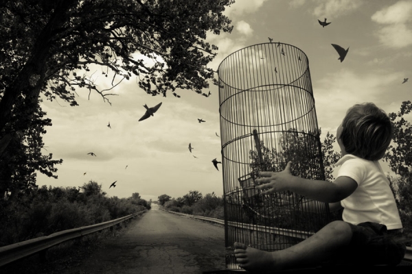 Photograph Angela Bacon Kidwell Love Without Hope on One Eyeland